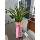 Uploaded File